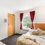 Rent a room in Sheffield