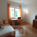 Rent 2 bedroom apartment in České Budějovice