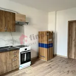 Rent 1 bedroom apartment in Benešov