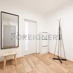 Rent 1 bedroom apartment of 35 m² in Brno