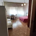 Rent 2 bedroom apartment of 40 m² in Reggio di Calabria