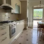 Rent 3 bedroom apartment of 80 m² in Trento