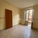 Affitto 3 camera appartamento di 86 m² in Palermo