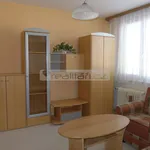 Rent 1 bedroom apartment in Plzeň