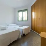 Rent 2 bedroom apartment in valencia