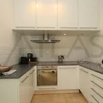 Rent 4 bedroom apartment of 150 m² in Prague