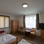 Rent 1 bedroom house of 90 m² in Ratiboř