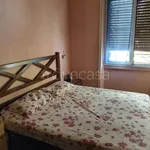 Rent 2 bedroom apartment of 50 m² in Milano