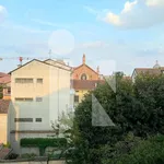 Rent 1 bedroom apartment of 40 m² in Mantua