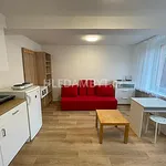 Rent 1 bedroom apartment of 20 m² in Capital City of Prague