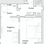 Rent 1 bedroom apartment of 38 m² in Firenze