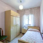 Rent a room in madrid