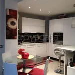 Rent 1 bedroom apartment of 45 m² in Roma