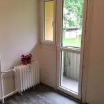 Rent 1 bedroom apartment of 38 m² in Ostrava