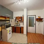 Rent 1 bedroom apartment of 29 m² in Prague