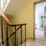 Rent 1 bedroom apartment in Lisbon