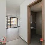 Rent 1 bedroom apartment in Plzeň