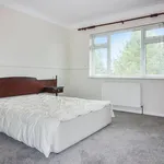 Rent 4 bedroom flat in Belfast