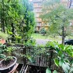 Rent 2 bedroom apartment of 60 m² in Milan