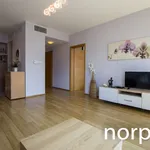 Rent 2 bedroom apartment of 55 m² in Krakow