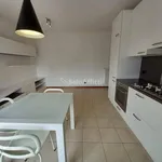 Rent 2 bedroom apartment of 60 m² in Cantù