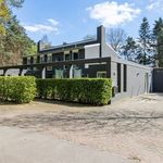Rent 5 bedroom house of 330 m² in Waalre