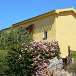 Rent 1 bedroom house of 130 m² in Arzachena