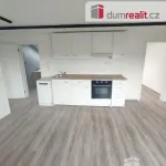 Rent 2 bedroom apartment in Děčín