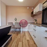 Rent 1 bedroom apartment of 30 m² in Szczecin