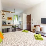 Rent 1 bedroom apartment of 40 m² in Milano