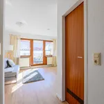 Rent 2 bedroom apartment of 53 m² in Stuttgart