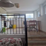 Rent 4 bedroom apartment of 80 m² in Milano