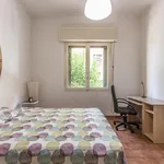 Rent 3 bedroom apartment in Bologna