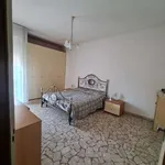 Rent 3 bedroom apartment of 70 m² in Bologna