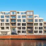 Rent 2 bedroom apartment in Kortrijk