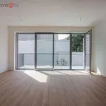 Rent 1 bedroom apartment of 43 m² in Brno