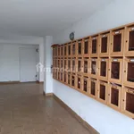 Rent 2 bedroom apartment of 55 m² in Pisa