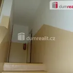 Rent 1 bedroom apartment of 30 m² in Ústí nad Labem