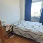 Rent 2 bedroom apartment of 55 m² in Modena