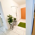 Rent 3 bedroom apartment of 68 m² in Wuppertal