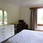 Rent 3 bedroom house in Dunedin