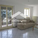 Rent 3 bedroom apartment of 75 m² in Trento