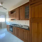 Rent 4 bedroom apartment of 160 m² in Bologna