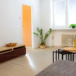 Rent 1 bedroom apartment in Blansko