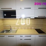 Rent 1 bedroom apartment of 24 m² in České Budějovice