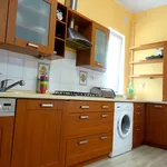 Rent 1 bedroom house of 20 m² in Szczecin