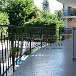 Rent 3 bedroom apartment of 109 m² in Mercogliano