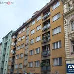 Rent 1 bedroom apartment of 22 m² in Praha