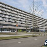 Rent 1 bedroom apartment of 72 m² in Eindhoven