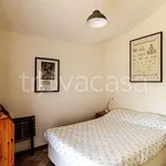 Rent 4 bedroom apartment of 85 m² in Capalbio